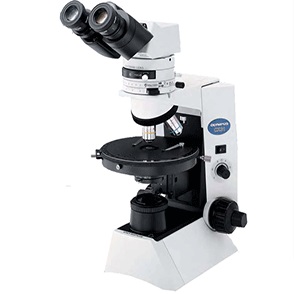 偏光显微镜图片