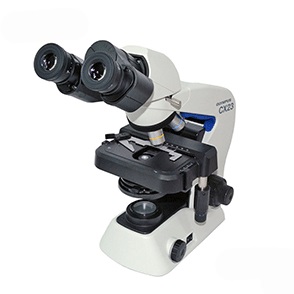 生物显微镜图片