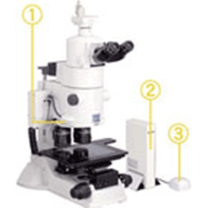 多功能变焦显微镜图片