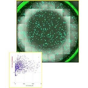 智能分析软件图片