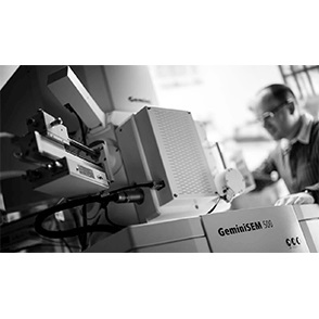 场发射扫描电子显微镜图片